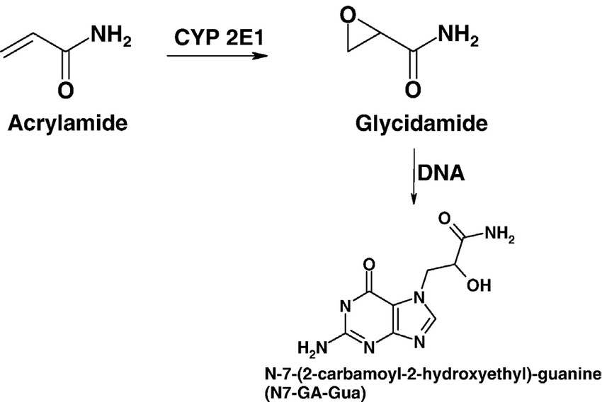 Resultado de imagen de glicidamida